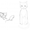 drawing of cat on paper #1