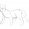 drawing of cat on paper #2
