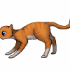 chat